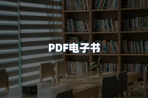 PDF电子书